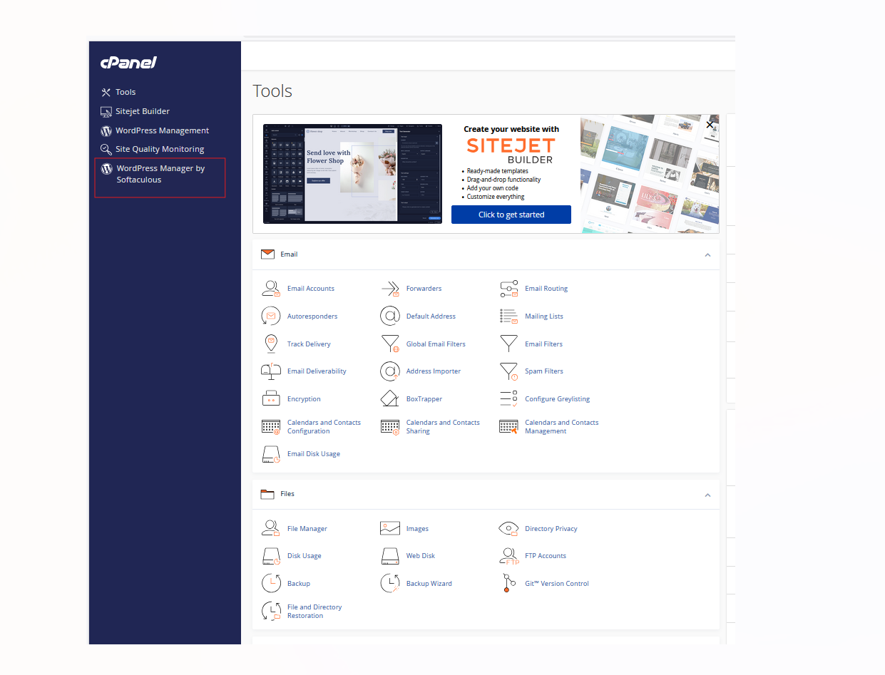 WordPress and control panel management for CMS websites